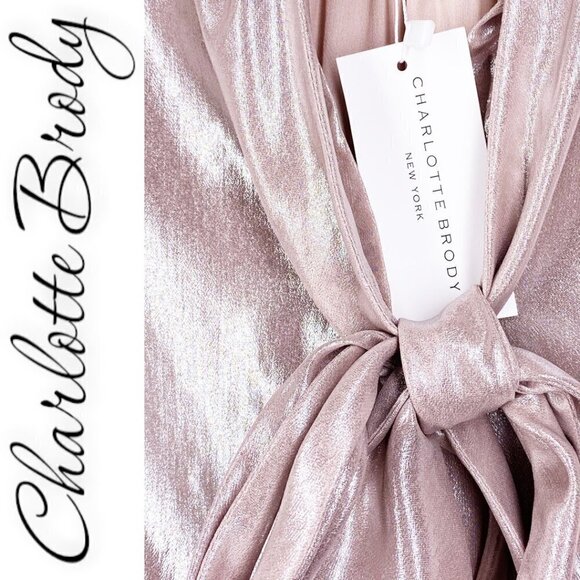 NWT CHARLOTTE BRODY Tie-Neck Blouse In Pink Blush Lamé, Size XS - Picture 5 of 8